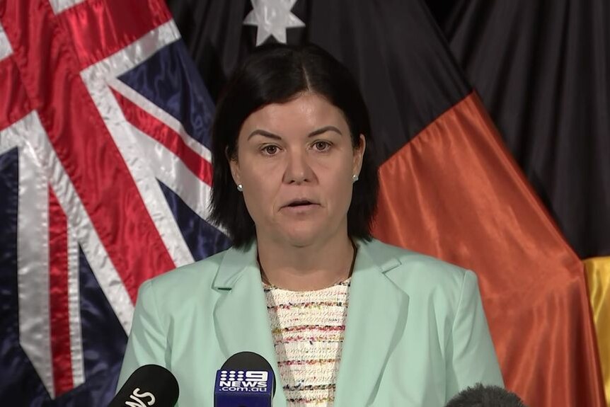 A woman stands in front of a flag at a press conference.