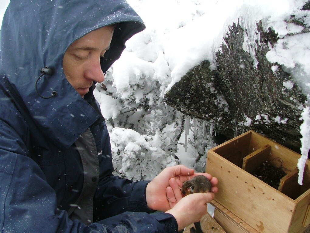 Fighting Extinction Abc Listen