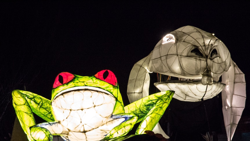 Lanterns in the shape of a frog and a dog in a night time street parade.