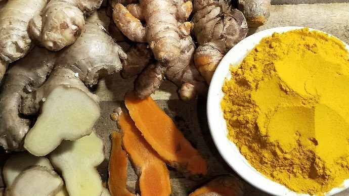 A dozen large roots of raw ginger and turmeric on a bench next to bright yellow bowl of turmeric spice