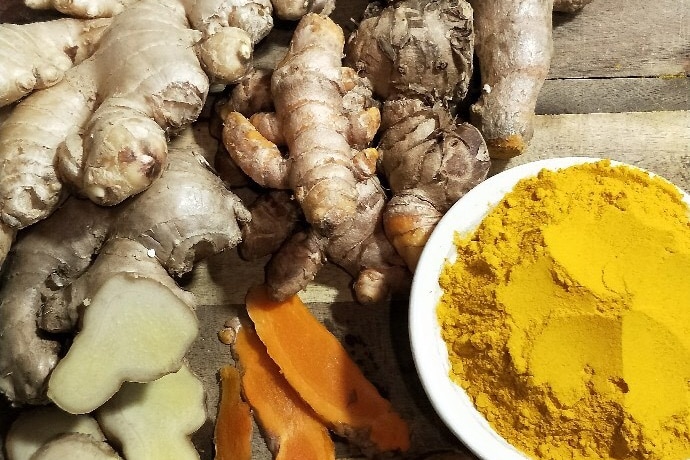 A dozen large roots of raw ginger and turmeric on a bench next to bright yellow bowl of turmeric spice