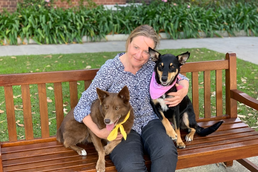 Lady sitting on a bench with arms around two kelpies