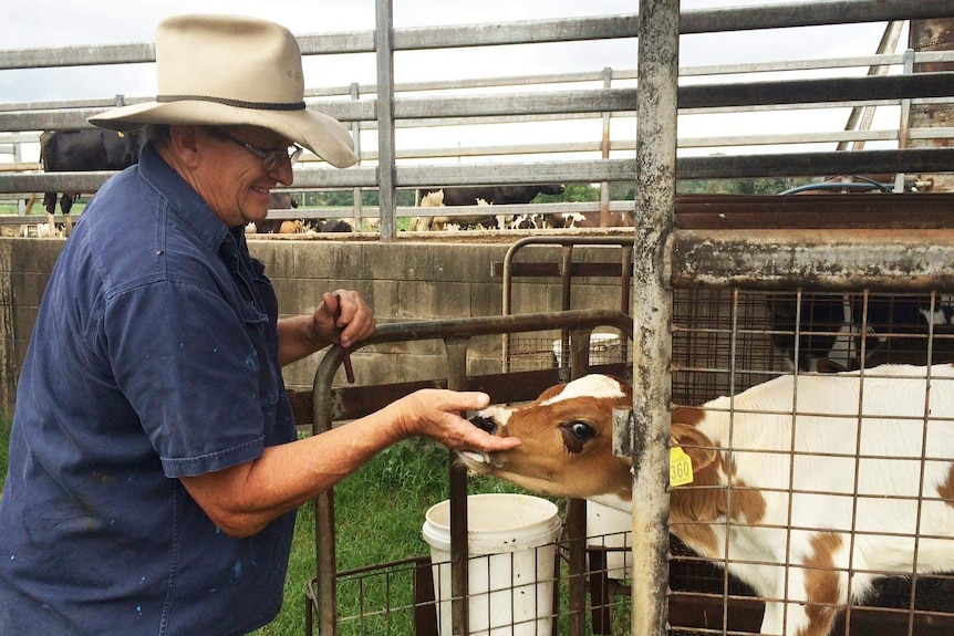 Dairy Farmer John Cochrane