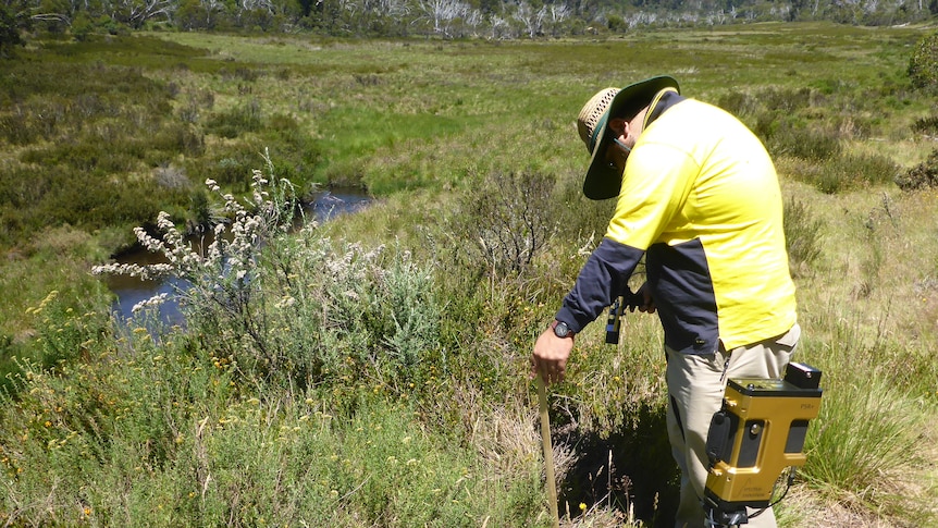 A man bent over some plants with a field spectroradiometer
