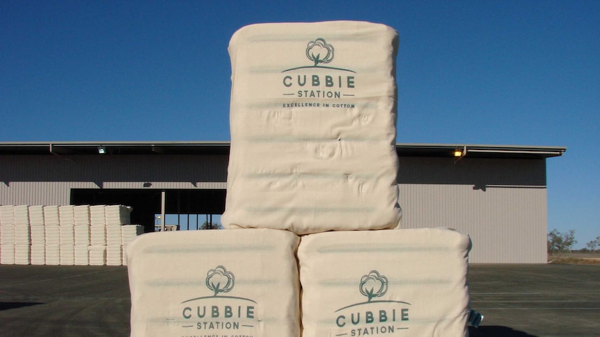 Cubbie Station cotton bales