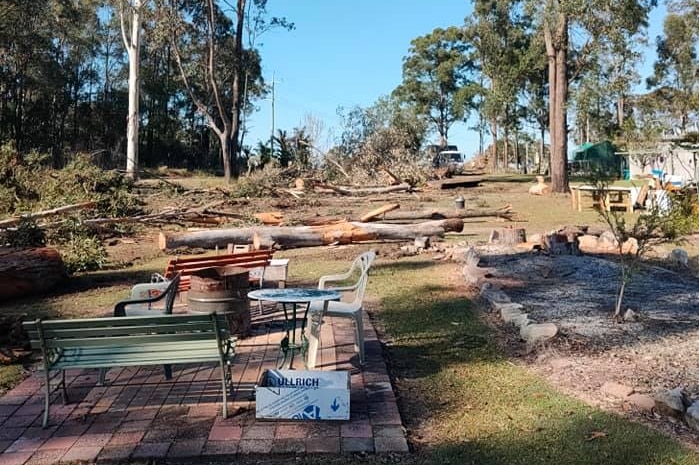 Trees have been cut down in the Woombah Woods Caravan Park.