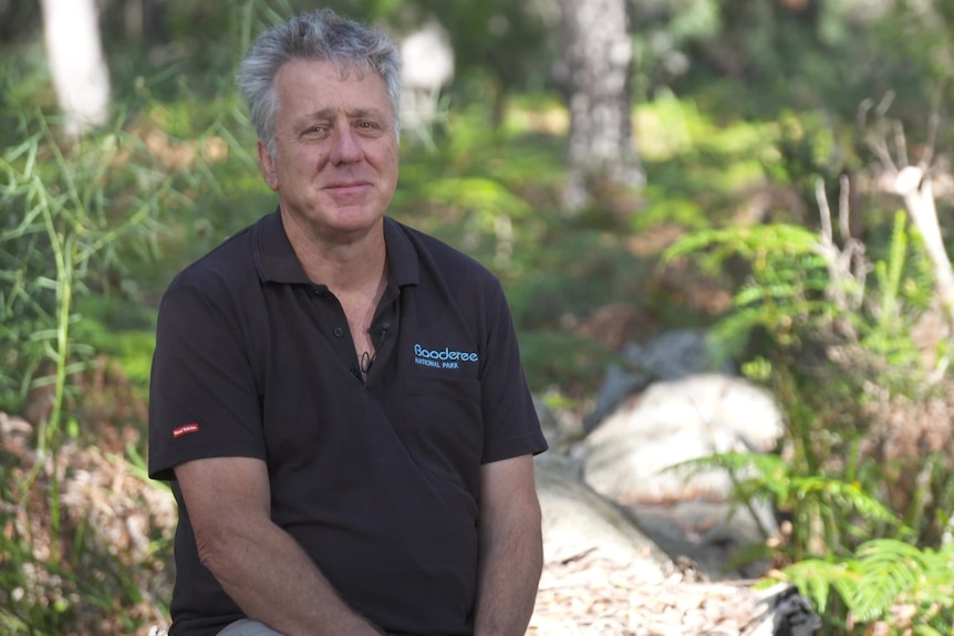 A man with grey hair wearing a black shirt sits in a national park surrounded by ferns, trees and boulders