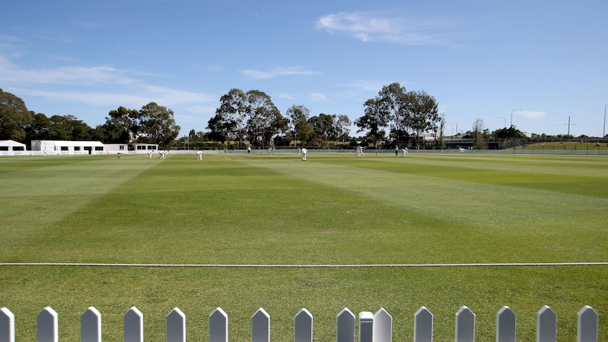 A general view of a cricket field in Adelaide.