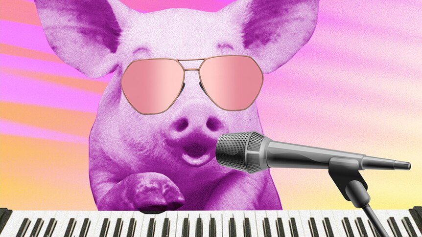A pig wearing sunglasses playing a keyboard and singing into a mic