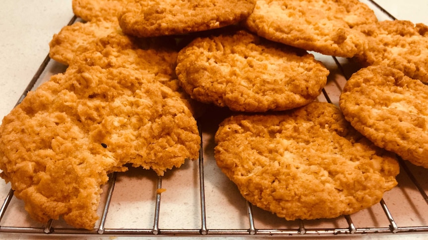 Freshly baked Anzac biscuits cooling on a rack.