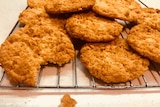Freshly baked Anzac biscuits cooling on a rack.