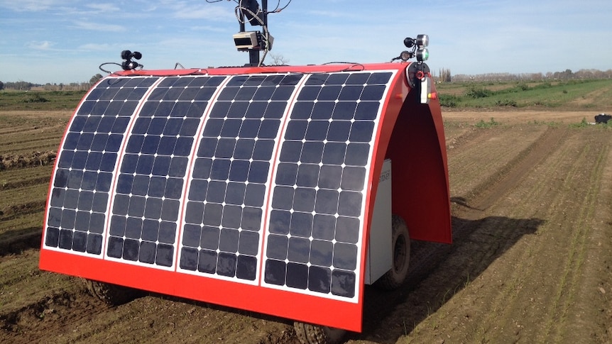 The 'Ladybird' farm robot to revolutionise vegetable sector