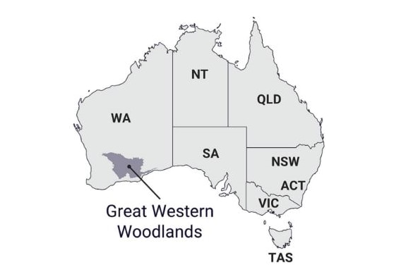 A map of Australia with an arrow pointing to a large grey area which is covered by the woodlands in WA's south.