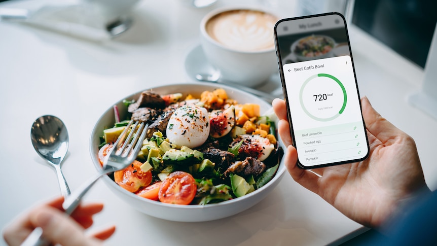 bowl of food and diet tracker app on the phone