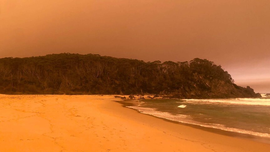 An orange sky over a beach with a small hill covered in trees in the background.