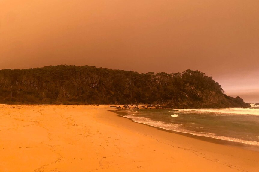 An orange sky over a beach with a small hill covered in trees in the background.
