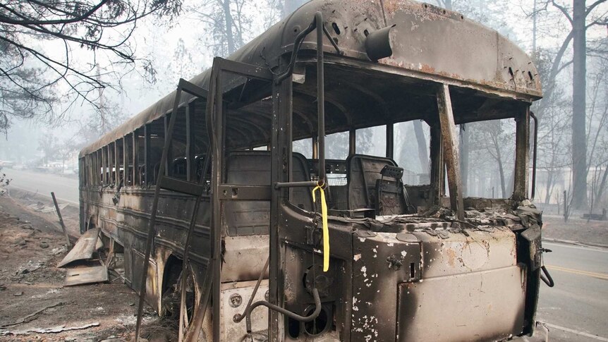 A burnt-out bus in Paradise.