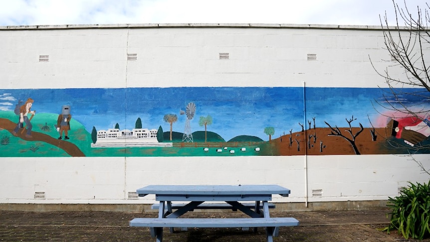 Mural of Australian outdoor landscape painted on one of the school's outdoor walls