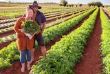 A woman and man stand in a field of herbs holding a bunch of herbs.