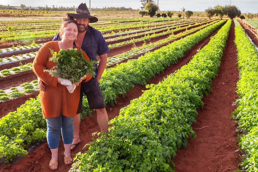 A woman and man stand in a field of herbs holding a bunch of herbs.