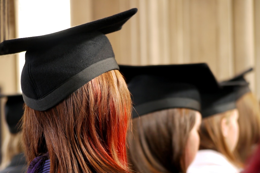 A group of people sitting down wearing graduation caps, photographed from behind.  