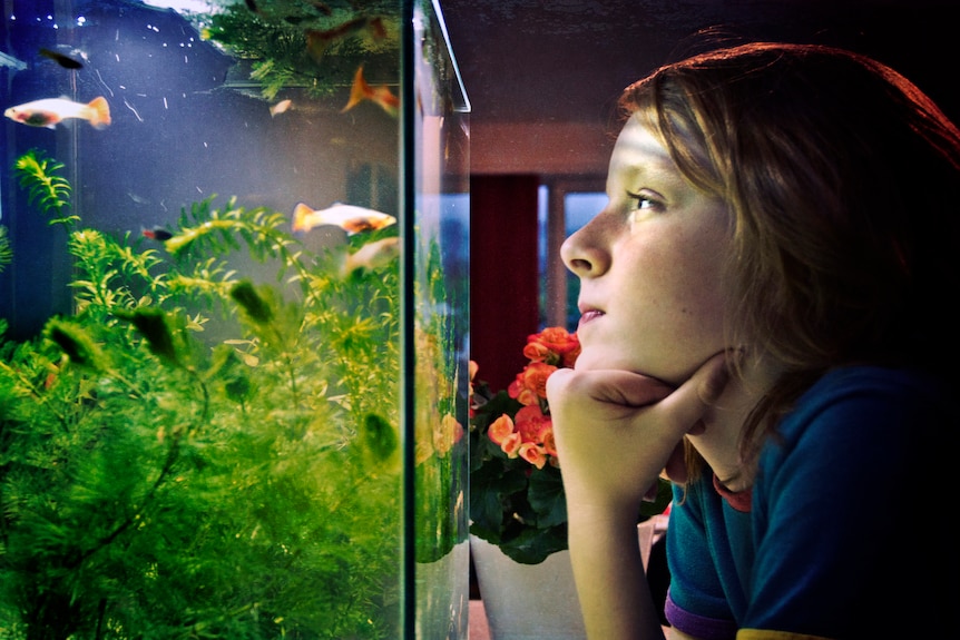A child watching fish in a tank.