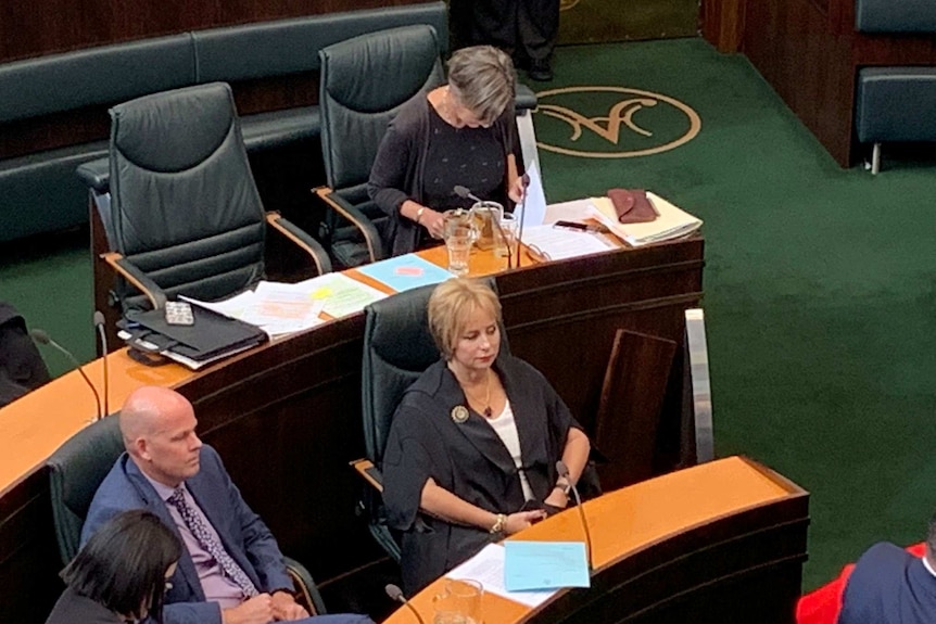 Sue Hickey on Opposition benches.