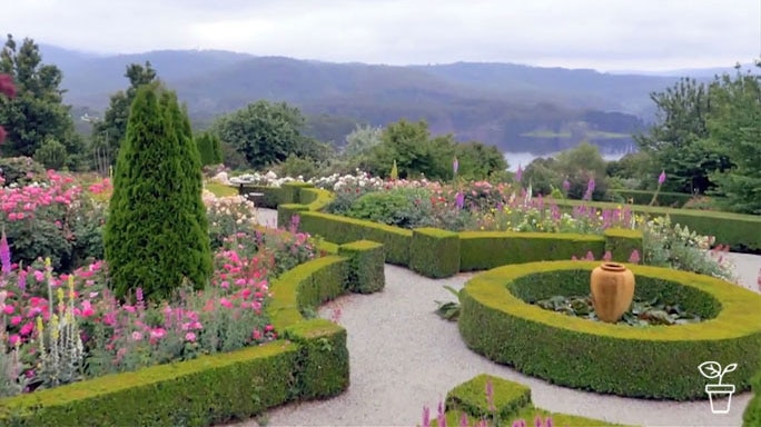 Formal garden with clipped hedge maze and coloured flowers