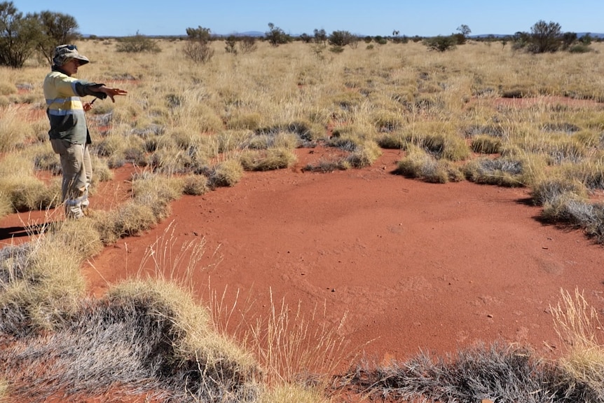Man standing at edge of circle of red earth