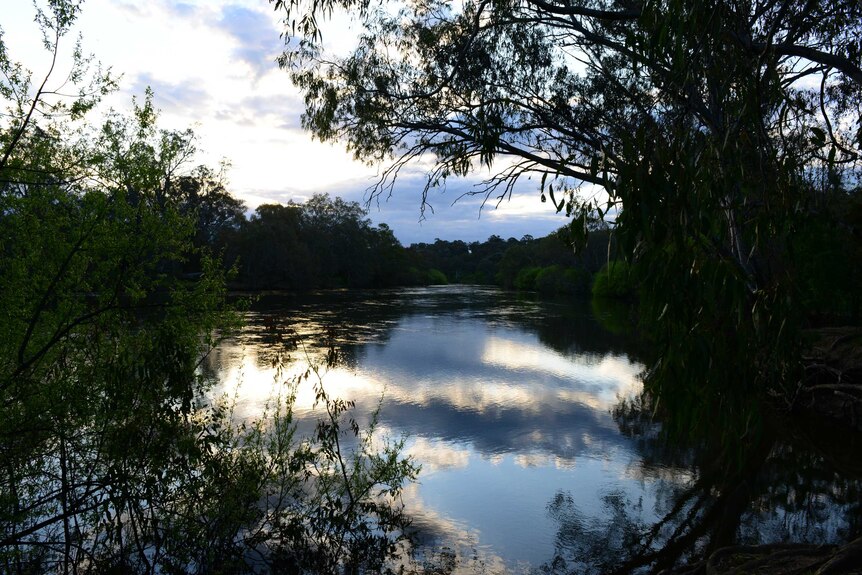 A stretch of the Murray River near the New South Wales town of Albury.