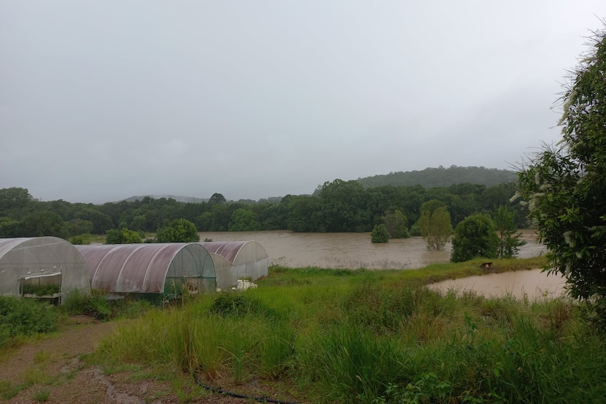 The greenhouses with the floodwater behind them.