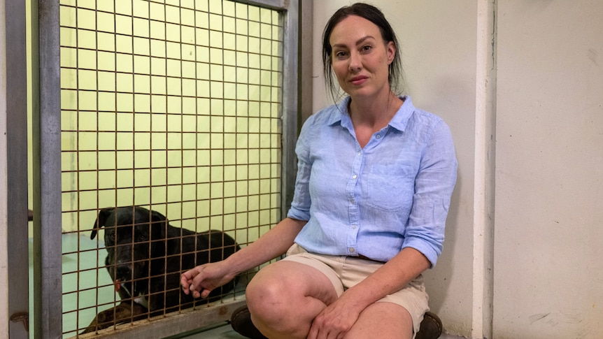 Laura sits on her haunches on a pound floor. One her right, in an enclosure is a impounded dog