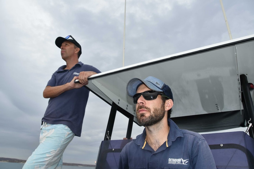 Two men on a boat look out to sea for humpback dolphins with cloudy skies overhead.