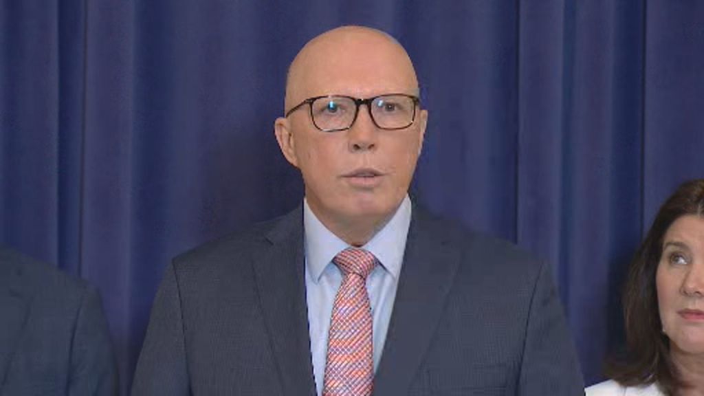 Coalition backs government's stage three tax cut reform - ABC News