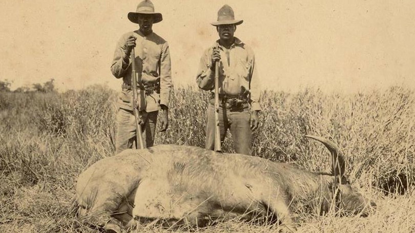 old photo of hunters with guns and dead buffalo
