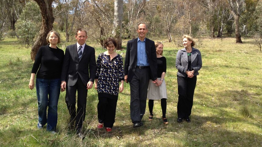 The Greens have enlisted their formal federal leader Bob Brown to lend weight to their election campaign announcement.