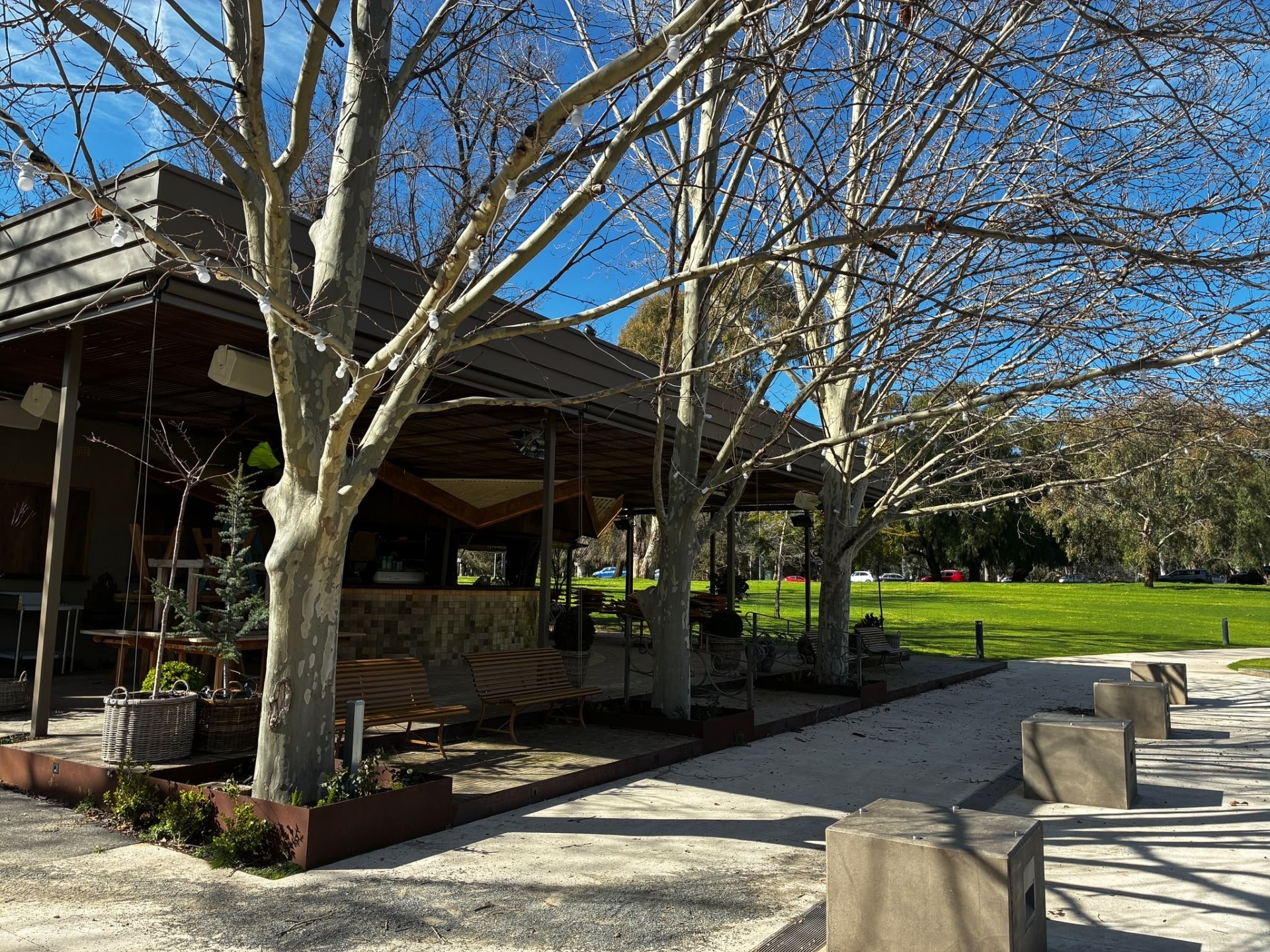 Adelaide Fringe pop-up transforms into full-time cafe in the parklands