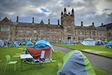 A number of tents and camping chairs on the lawn of a large university building.