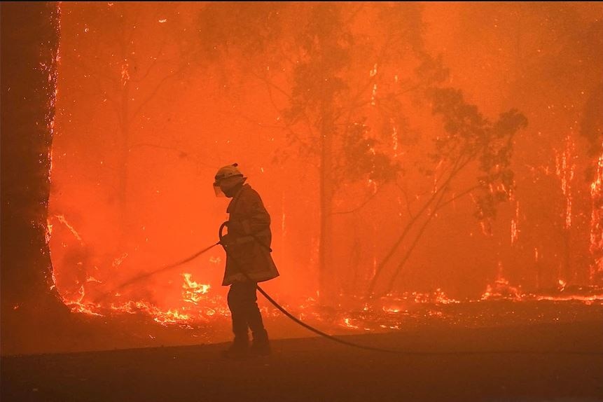 A firefighter uses a water hose to battle a bushfire.