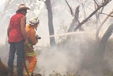 A firefighter squirts water from a hose onto burning scrubland.