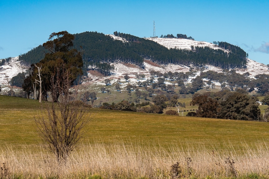 A large hill with a radio tower on top and scattered white snow fall.