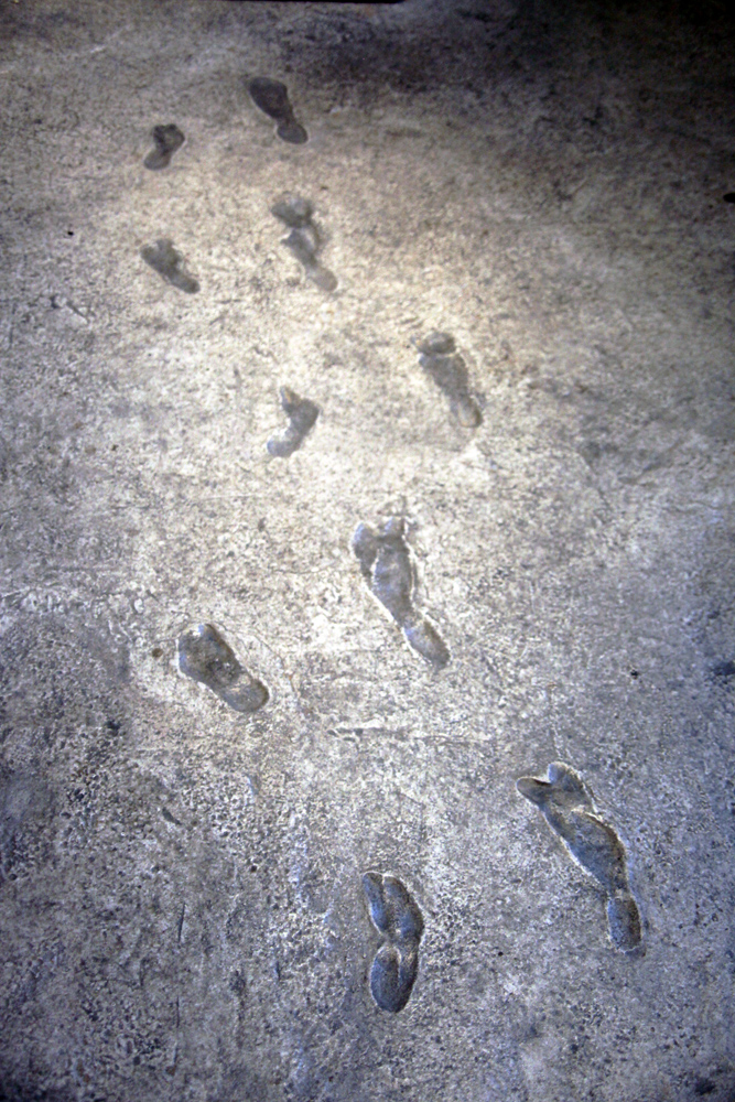 Two sets of footprints, some overlapping, embedded on a rock slab