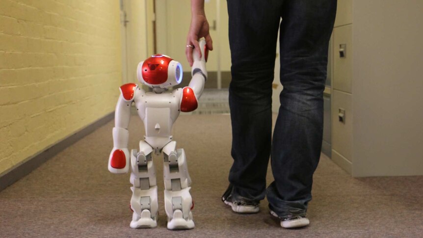A robot walking through an office holding a man's hand.
