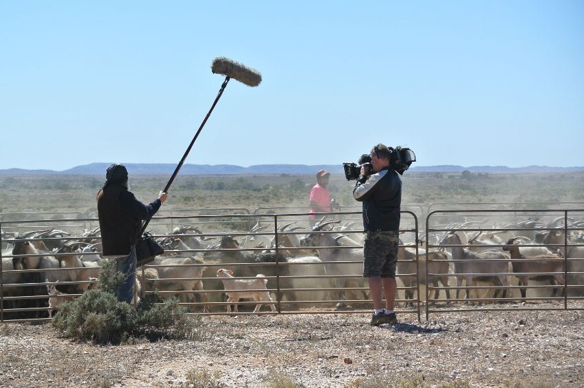 Carl Saville filming goats in dusty yard and Tony Hill holding boom microphone on extended pole.