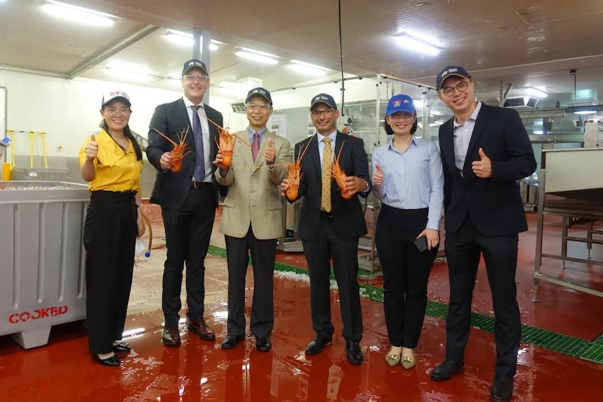 A group of people in business attire stand in a factor. Two are holding lobsters in each hand. 