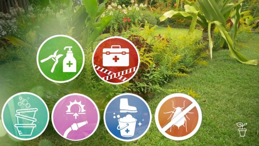Garden background with circular graphics depicting hygiene icons