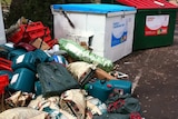 Dumped hydroponic equipment including fertiliser bottles at Kaleen High School.