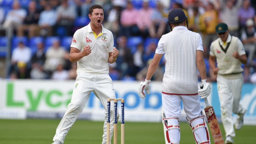 Australia's Josh Hazlewood celebrates Gary Ballance's wicket in the first Ashes Test in Cardiff.