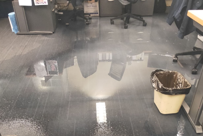 Puddles of water appear on the ground in the office.