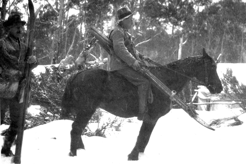 Skier on horseback in the snow.  Historical black and white photo.